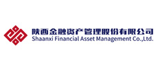 陕西金融资产治理